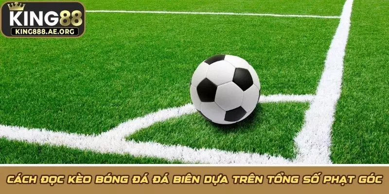 Cách đọc kèo bóng đá đá biên dựa trên tổng số phạt góc Cách đọc kèo bóng đá đá biên dựa trên tổng số phạt góc