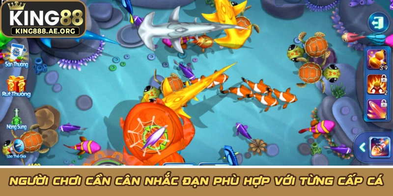 Người chơi cần cân nhắc đạn phù hợp với từng cấp cá Người chơi cần cân nhắc đạn phù hợp với từng cấp cá